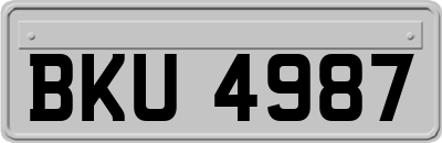 BKU4987
