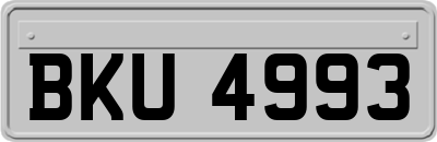 BKU4993