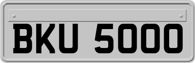 BKU5000