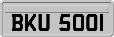 BKU5001