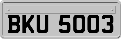 BKU5003