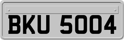 BKU5004