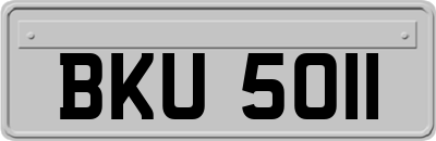 BKU5011