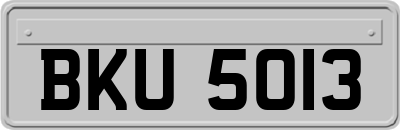 BKU5013