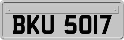 BKU5017