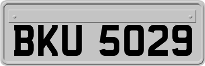 BKU5029