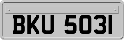 BKU5031