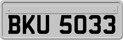 BKU5033