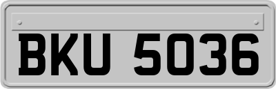 BKU5036