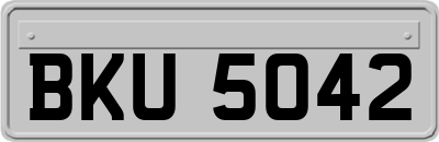 BKU5042