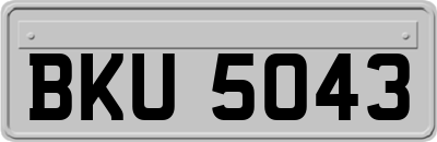 BKU5043