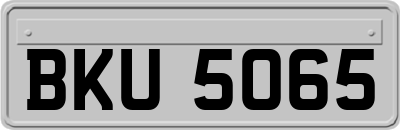 BKU5065
