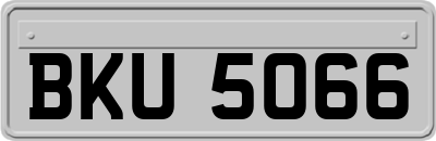 BKU5066