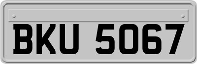 BKU5067