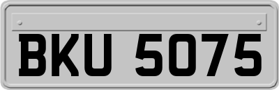 BKU5075