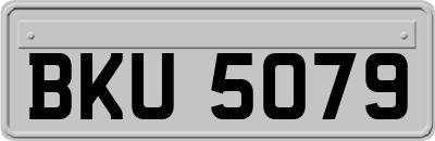 BKU5079