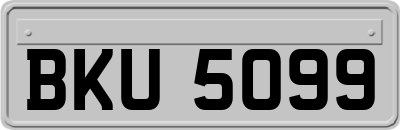 BKU5099