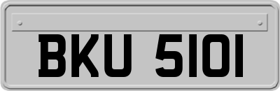 BKU5101