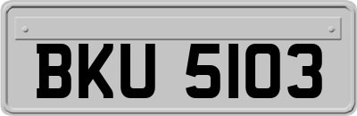 BKU5103
