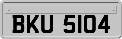BKU5104