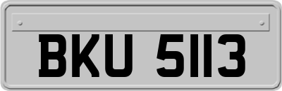 BKU5113