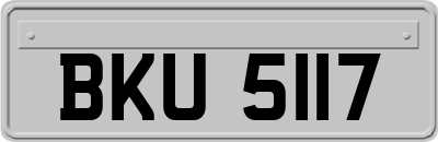 BKU5117