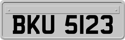 BKU5123