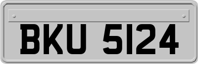 BKU5124