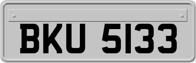 BKU5133