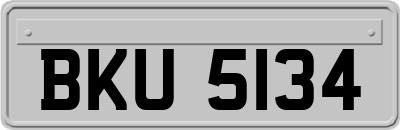 BKU5134