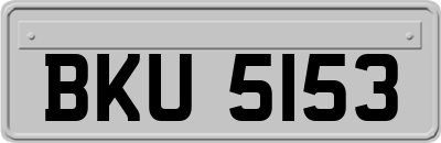 BKU5153