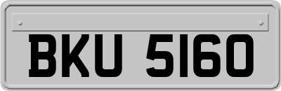 BKU5160