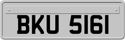 BKU5161