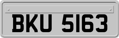 BKU5163