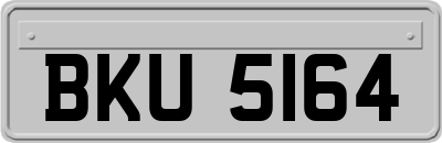 BKU5164