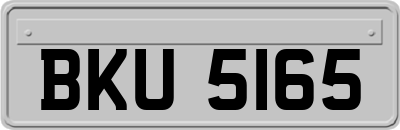 BKU5165