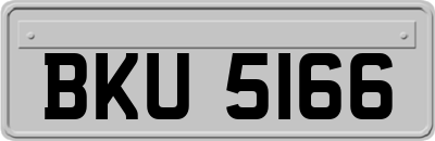 BKU5166