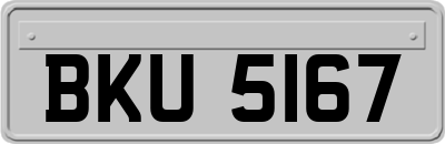BKU5167