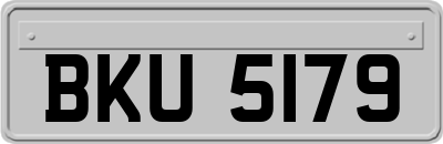 BKU5179