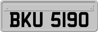 BKU5190