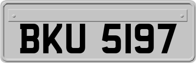 BKU5197