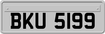BKU5199