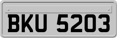 BKU5203