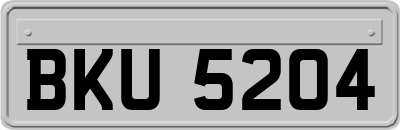 BKU5204