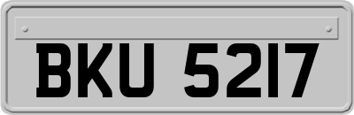 BKU5217