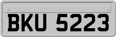 BKU5223
