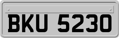 BKU5230