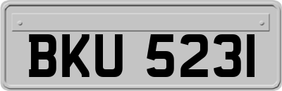 BKU5231