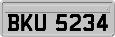 BKU5234