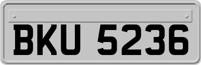 BKU5236